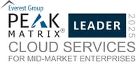Cloud Services for Mid-market Enterprises 2025 - PEAK Matrix Award Logo - Leader