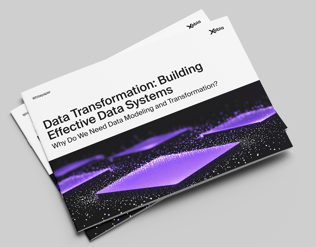 Data Transformation whitepaper_mockup 1 copy
