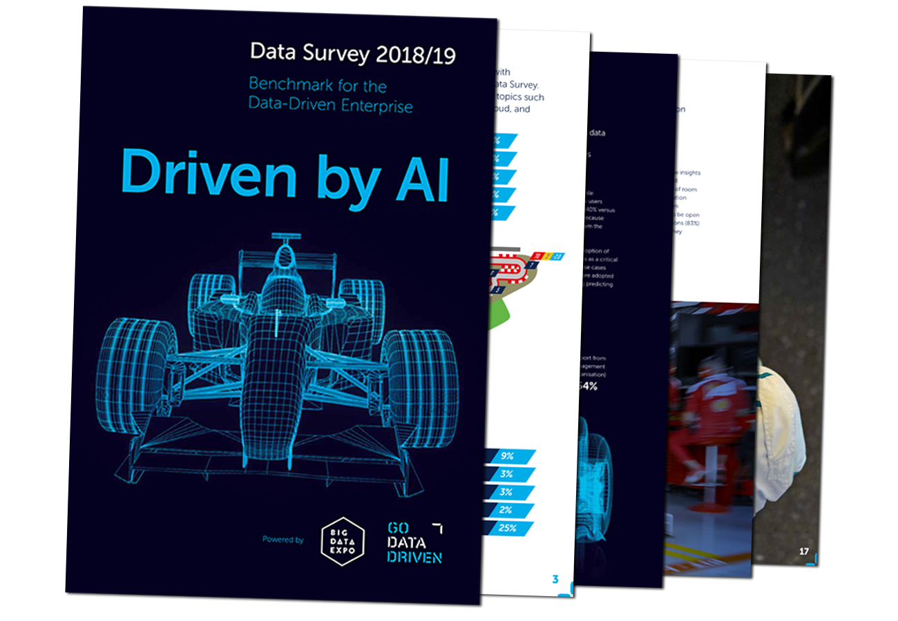 DataSurvey1819-Cover