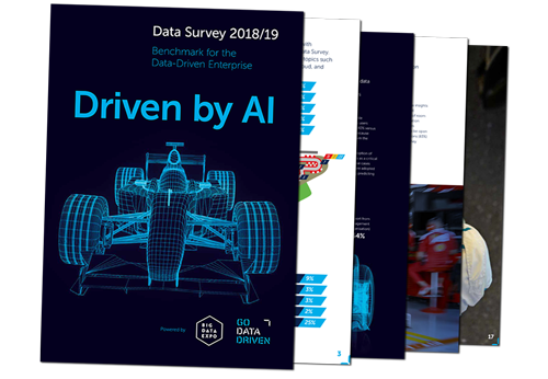 datasurvey1819-cover-small