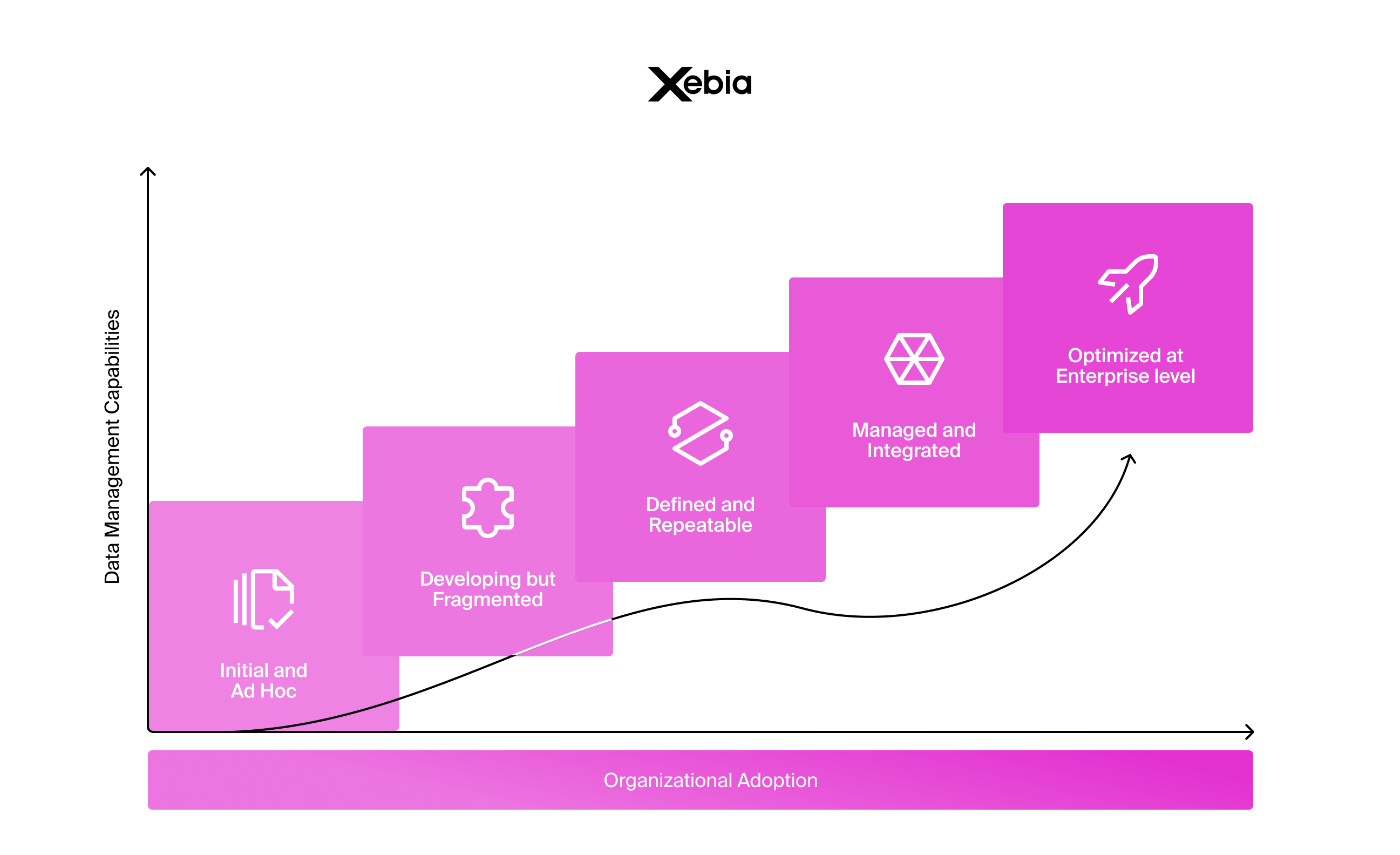 Organizational Diagram Xebia