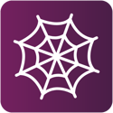 Spider Chart - App Icon - Minimal