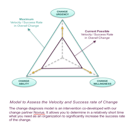 Co-creation of the agile transformation