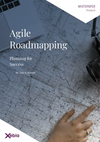 Whitepaper - Agile Roadmapping-thumbnail