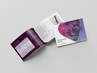 Xebia_Data_The_AI-_Maturity_Journey_Landscape klein