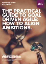 Front-The-Practical-Guide-to-Goal-Driven-Agile-Framework.png