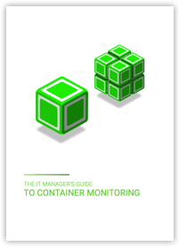 IT Manager's Guide HubSpot Image.png